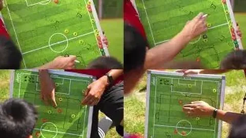 贪玩娱乐 资讯 125943 vuw