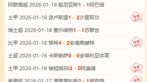 勒沃库森击败不来梅，荣获德甲冠军