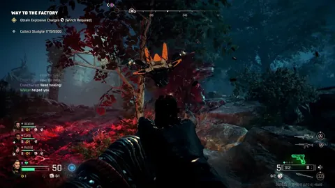 西海岸戴维森社媒首秀成功，赛季愉快心情持续期待